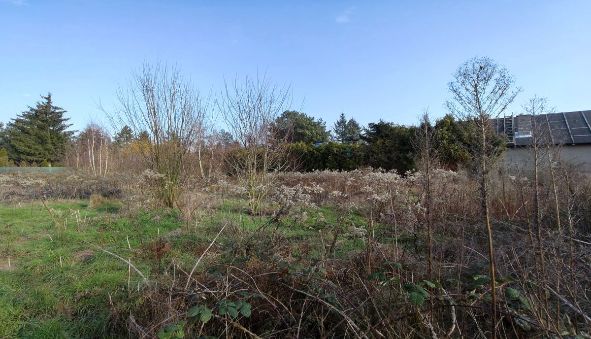 Działka nad jeziorem. Strykowo - zdjęcie 4