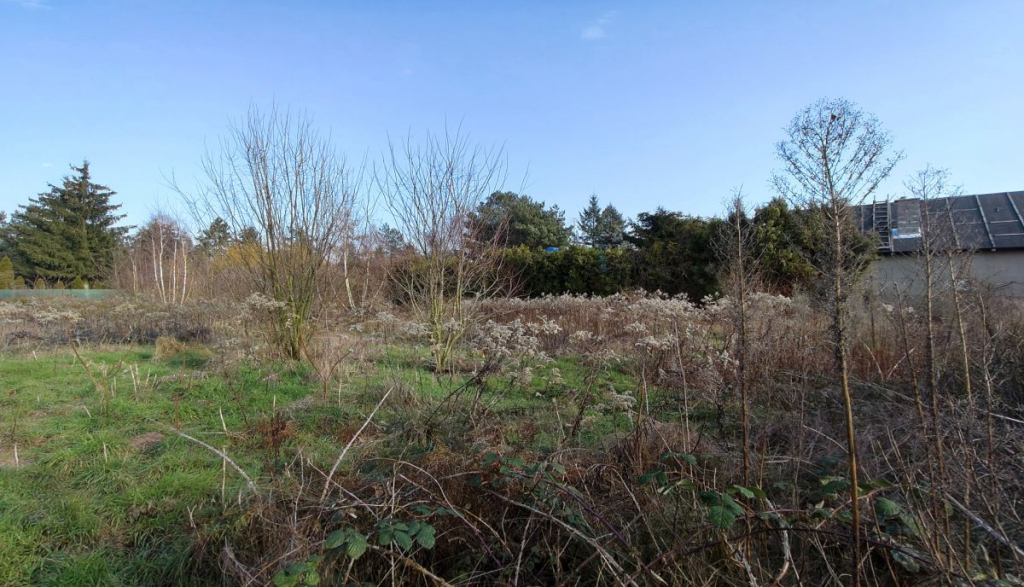 Działka nad jeziorem. Strykowo - zdjęcie 4