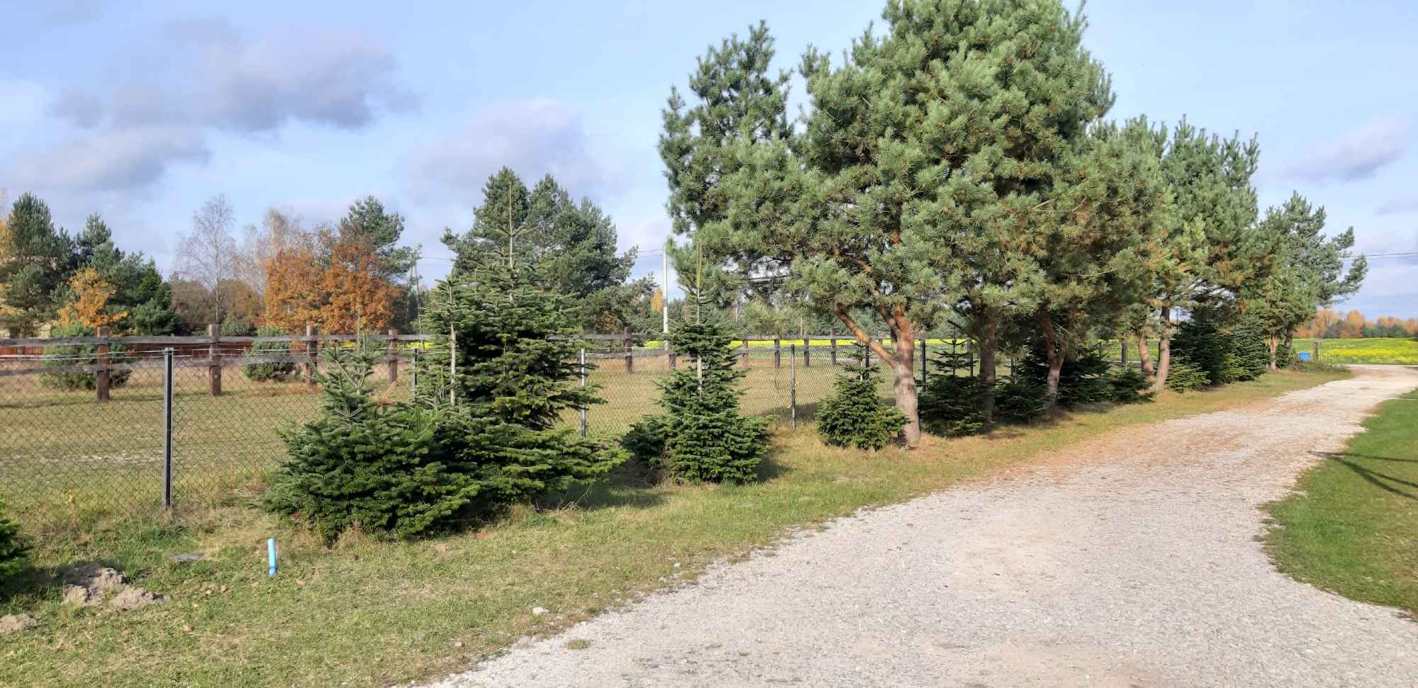 W Kocieczynie sołectwo Szczecno, 1679m.kw., uzbrojona, przy lesie Szczecno - zdjęcie 9
