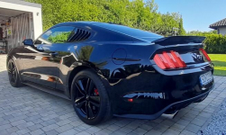 Mustang turbo, performance pack + premium pack + modyfikacje Chruszczobród - zdjęcie 9