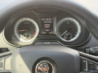 Škoda Octavia 1.6TDI Fajny Stan!!! Białogard - zdjęcie 7