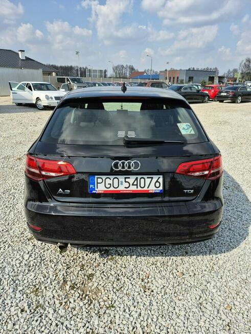 Audi A3 Grodzisk Wielkopolski - zdjęcie 7