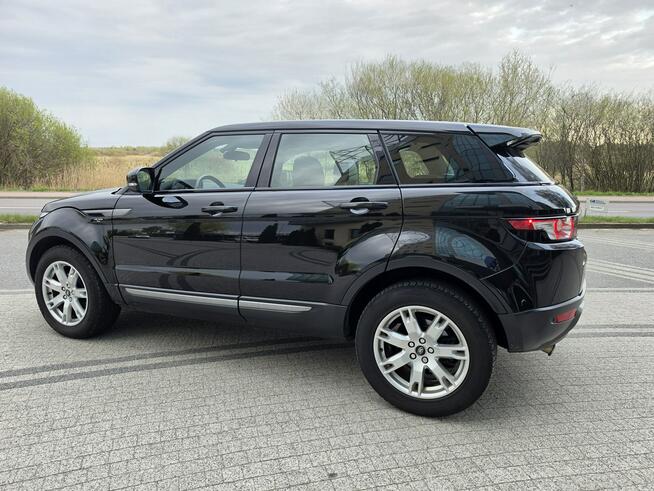 Land Rover Evoque 2013r Automat 4x4 Bezwypadkowy Kisielany-Kuce - zdjęcie 9