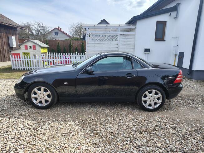 Mercedes-Benz SLK R170 Ostrołęka - zdjęcie 6