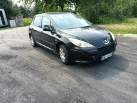 Peugeot 307 1.6 07r
