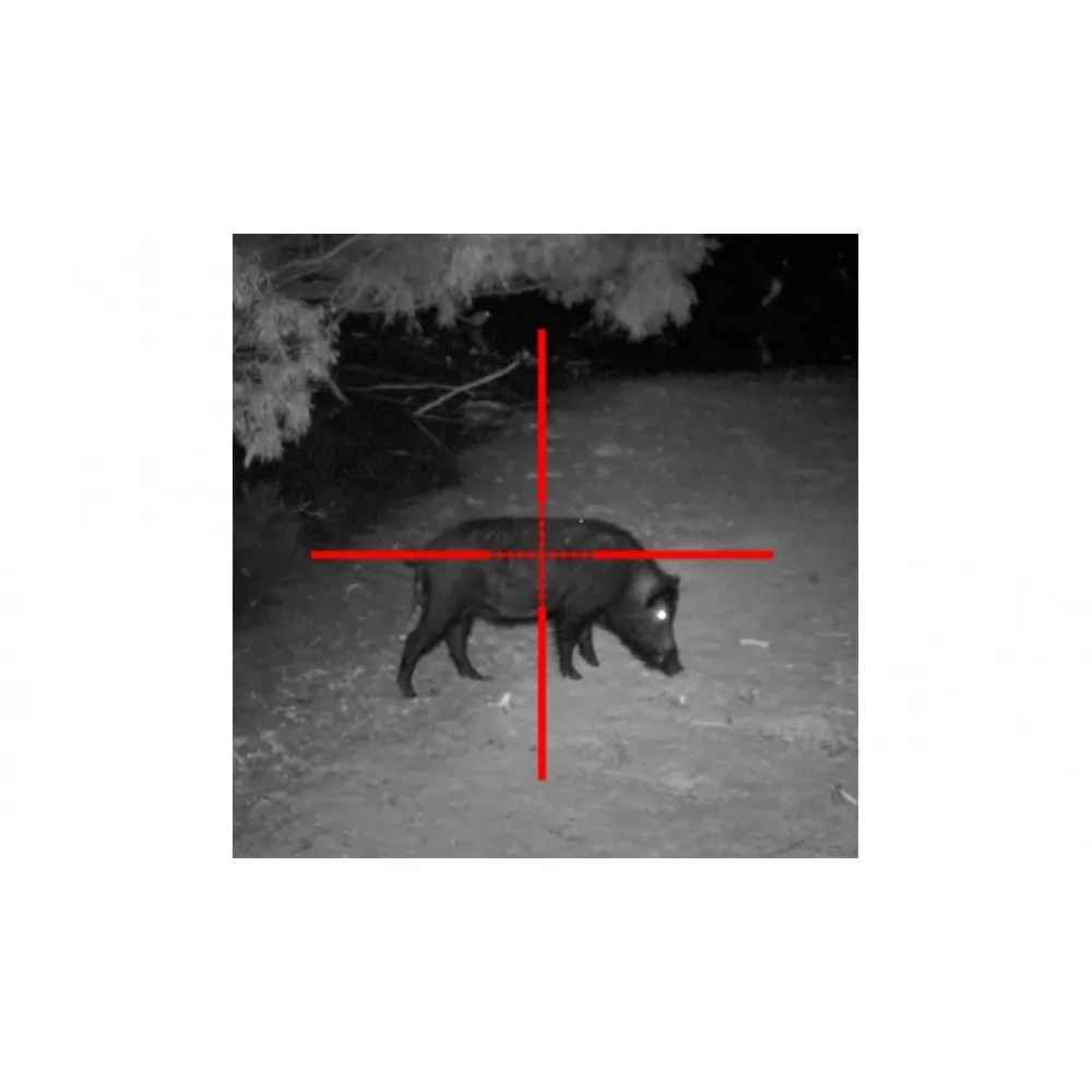 Sightmark Photon 6.5x50S Digital NVR SM18009 (ExpertBinocular) Bydgoszcz - zdjęcie 4