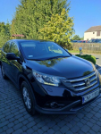 Sprzedam Hondę CRV Kowalewko - zdjęcie 10