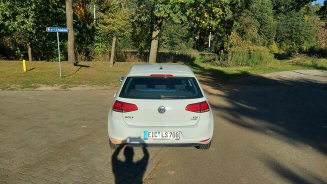 Przepiękny Golf 7 Puławy - zdjęcie 4