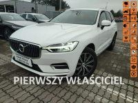 Volvo XC 60 Salon Polska  Panorama
