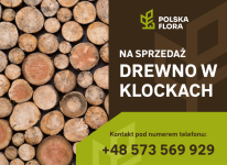 Drewno opałowe cięte w kawałkach Nowa Huta - zdjęcie 1