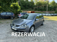 Volkswagen Golf 1.9TDi-105km-Klimatronik-Technicznie OK Szczecin - zdjęcie 1