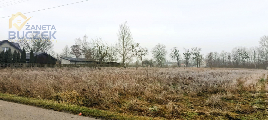 Sprzedam działkę w Antoniewie Żdżarowym Antoniew - zdjęcie 2