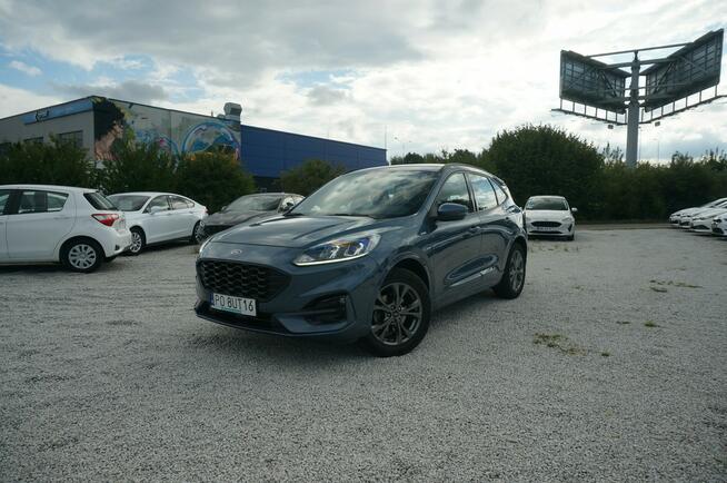 Ford Kuga 2.0 EcoBlue/190 KM AWD ST-Line Fvat 23% Salon PL PO8UT16 Poznań - zdjęcie 2