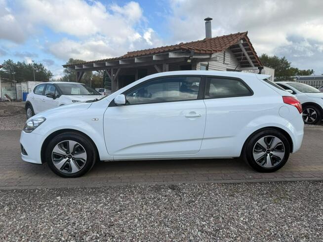 Kia Pro Cee'd Słupsk - zdjęcie 6
