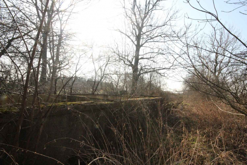 5pok, 200met, Jenkowice STODOŁA/OGRÓD/GARAŻ (Jenkowice) Jenkowice - zdjęcie 11