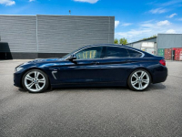 BMW 420 Sadlno - zdjęcie 4