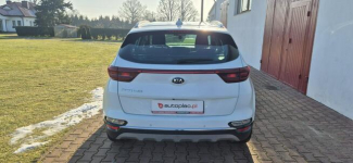Kia Sportage Paproć - zdjęcie 7