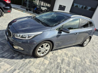 Kia Cee'd 1.6 gdi oświetlenie led Benzyna grzane fotele Drelów - zdjęcie 7