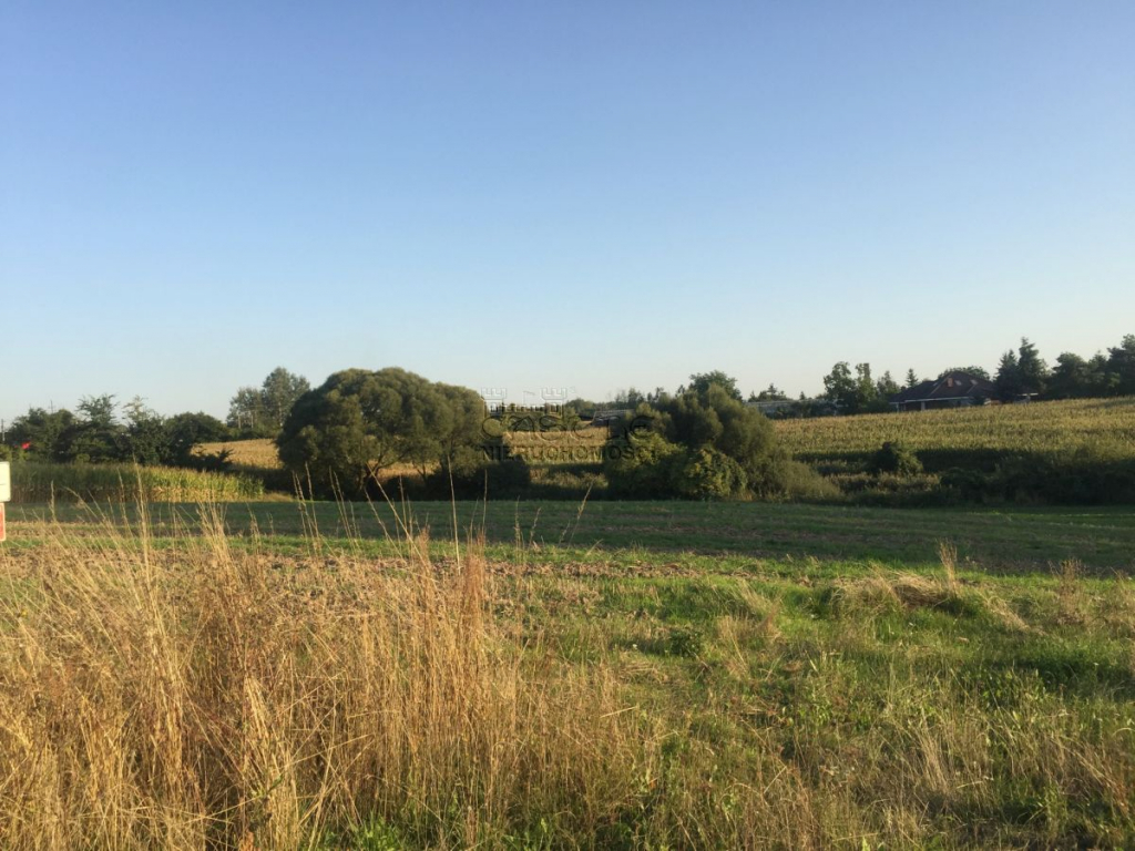 Działka na sprzedaż Golęczewo Golęczewo - zdjęcie 8