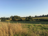 Działka na sprzedaż Golęczewo Golęczewo - zdjęcie 8