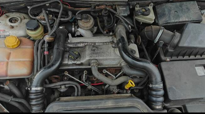 Focus sprawny ważne OC i PT Łuków - zdjęcie 7