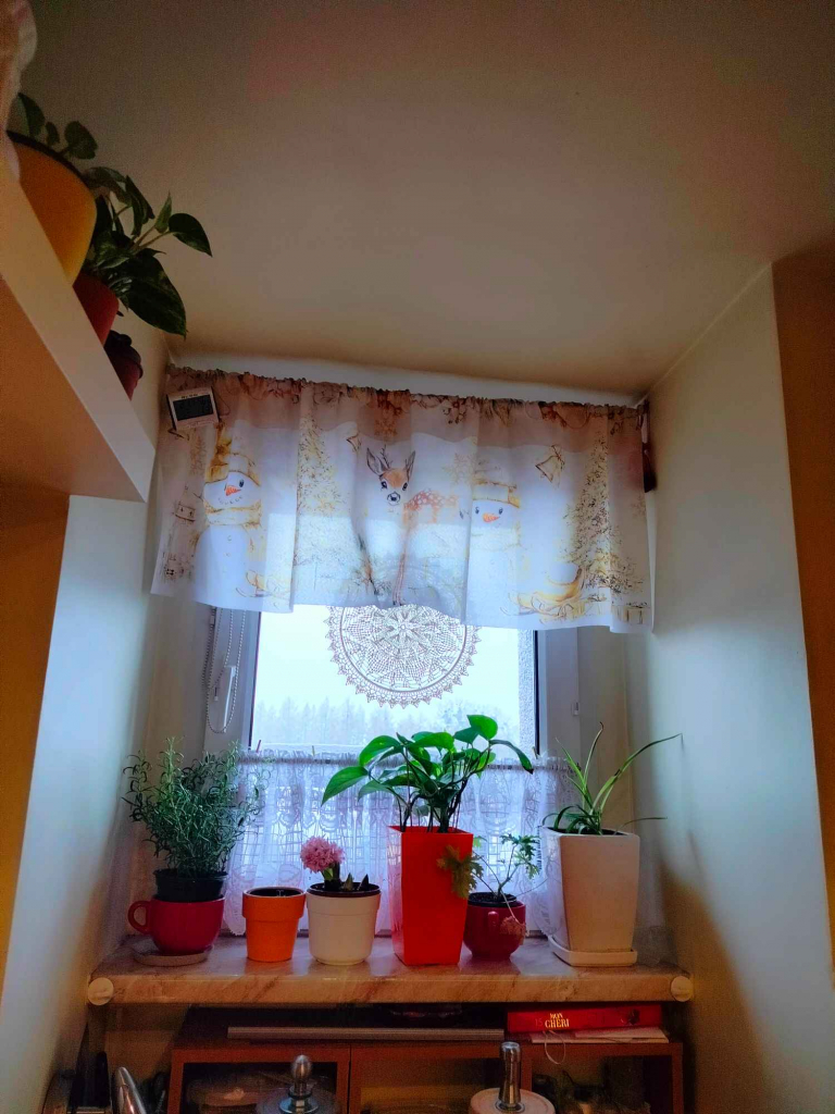 Mieszkanie na poddaszu sprzedam Mogilno - zdjęcie 3