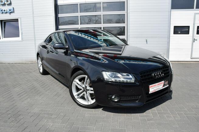 Audi A5 2.0 TDI Bi-Xenon LED Navi Skóra 232 tys.km. Euro-5 Hrubieszów - zdjęcie 8