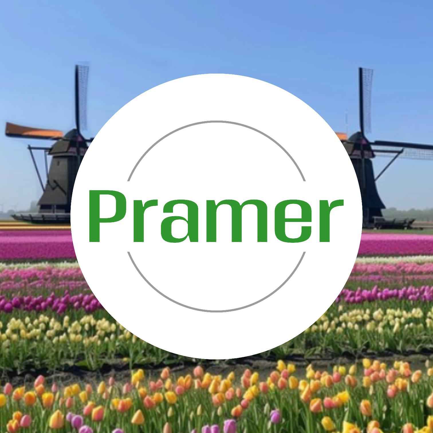 "Praca w szklarni - zbiór papryki (brak wymagań) " Zielona Góra - zdjęcie 1