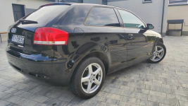 Audi A3 8P 1.9 TDI Broniszów - zdjęcie 5