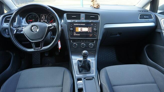 Volkswagen Golf Polski salon. Gwarancja. Polecam !!! Zielona Góra - zdjęcie 10