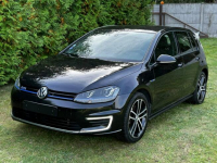 Volkswagen Golf #Xenon #GTE #DSG Laskowo - zdjęcie 6