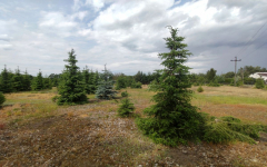 Działka z WZ blisko Nowego Tomyśla. Glinno - zdjęcie 3