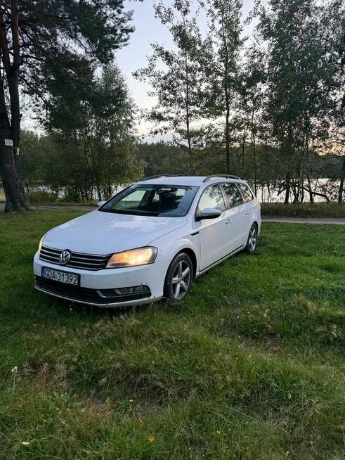 Mega Passeratti B7 Cedry Małe - zdjęcie 1