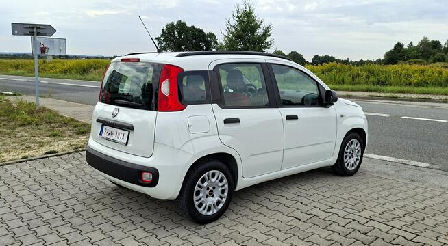 Fiat Panda Bardzo zadbany/Światła do jazdy dziennej/Bezwypadkowy Przyszowice - zdjęcie 4
