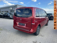 Mercedes V 250 4Matic Kamera Kamry 360st. 8 osobowy
