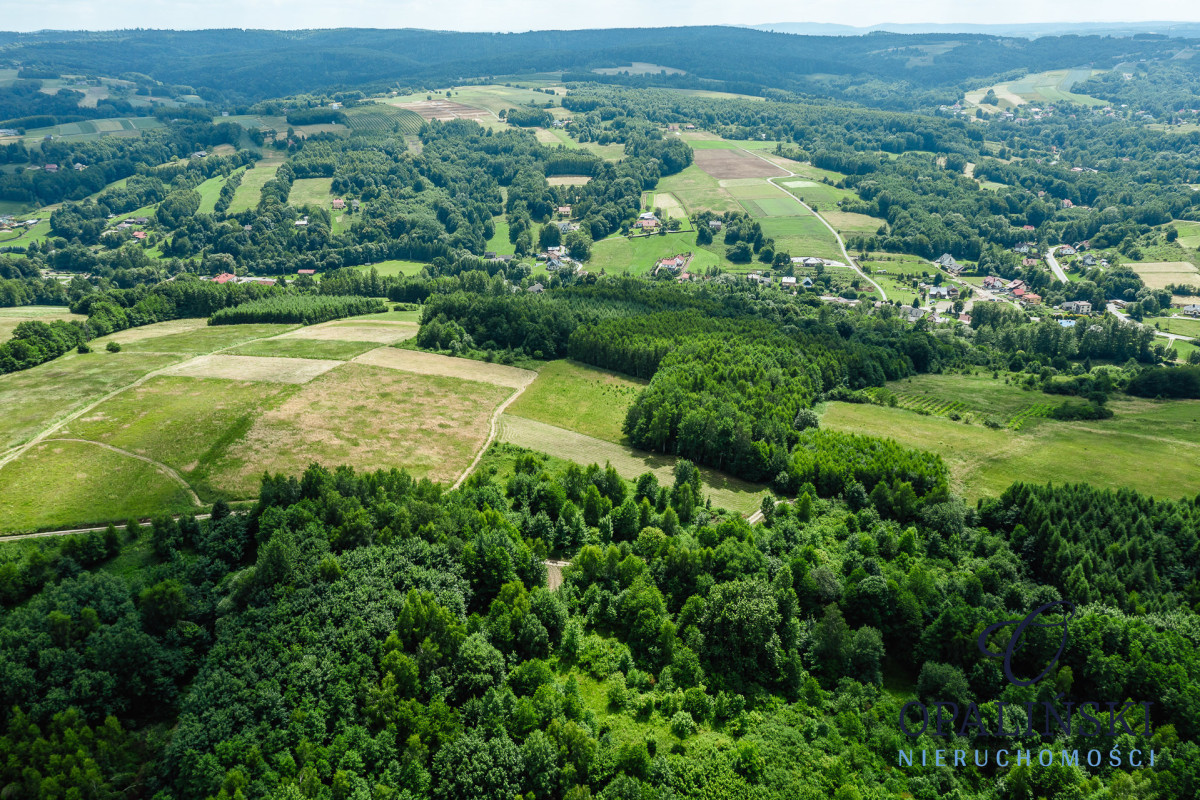 20 km od Rzeszowa | 2, 61 ha |  Cicha okolica Straszydle - zdjęcie 6