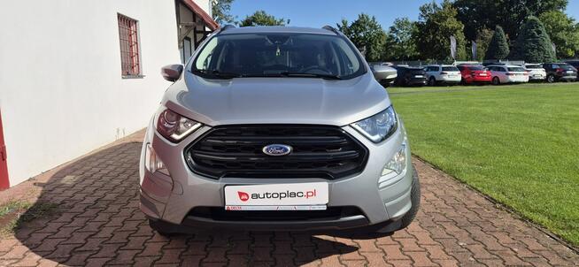 Ford EcoSport ST-LINE-GRZANA KIER-LED-MEDIA Paproć - zdjęcie 2