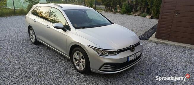Volkswagen Golf 1.5 eTSI EVO Life DSG Dąbrowa Górnicza - zdjęcie 2