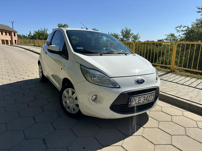 Ford KA 1.3TDCi 75KM Climtronic Niski przebieg Gostyń - zdjęcie 1