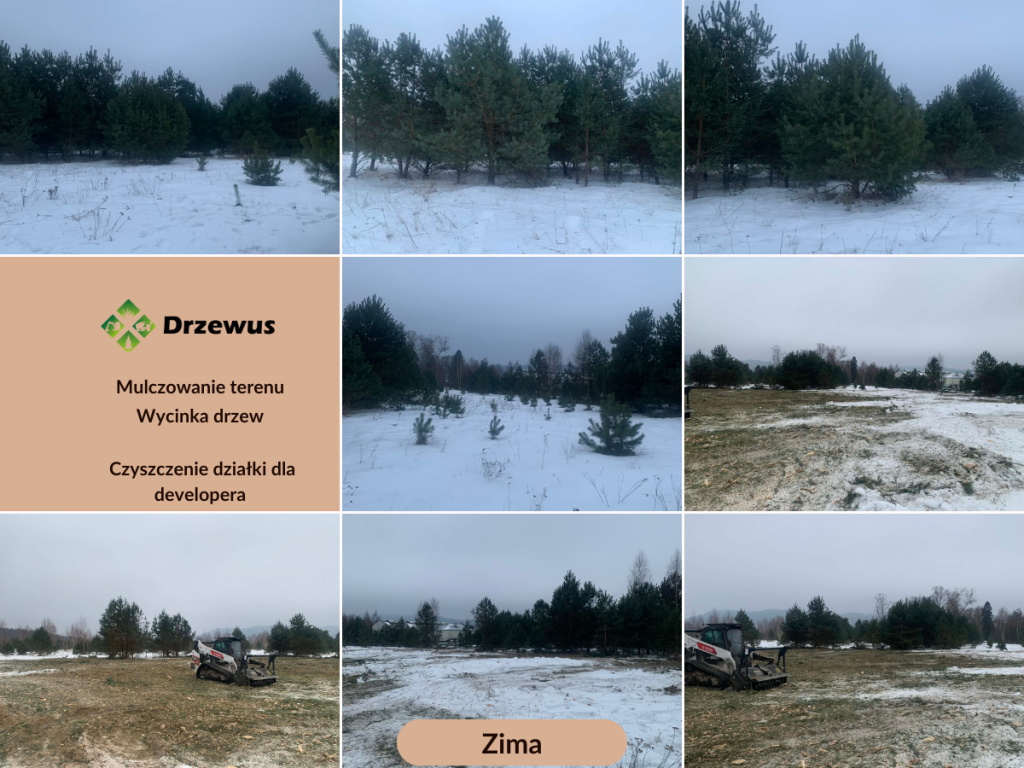 Czyszczenie działki i przygotowanie terenu pod budowę  -DRZEWUS Gdańsk - zdjęcie 2