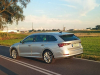Skoda Octavia 1.4 hybryda plug-in 204 km salon PL FV Słupca - zdjęcie 11