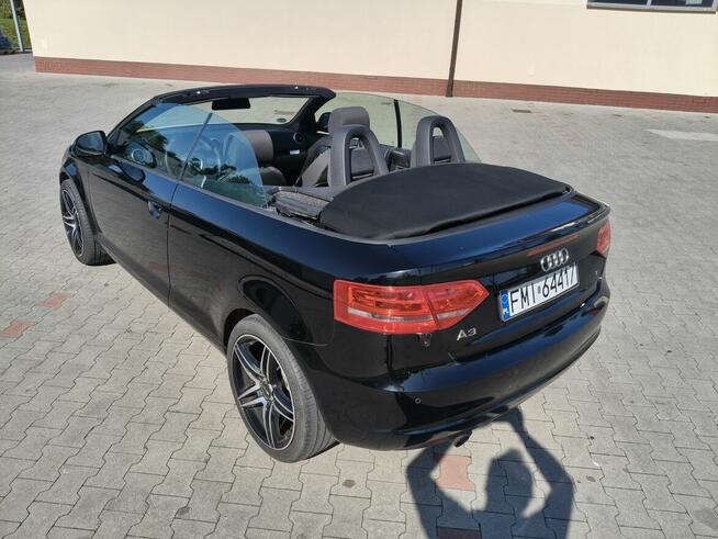 Audi A3 CABRIO / MANUAL / KLIMA / GRZANE FOTELE Ostrów Wielkopolski - zdjęcie 5