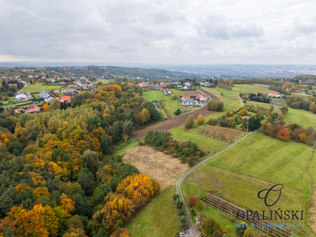 Działka pod lasem 16,80 ar z warunkami zabudowy Rzeszów - zdjęcie 5