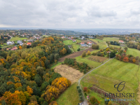 Działka pod lasem 16,80 ar z warunkami zabudowy Rzeszów - zdjęcie 5