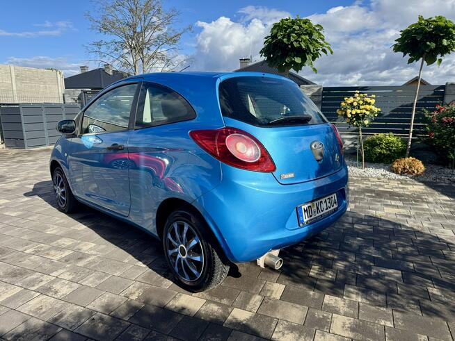 Ford Ka ( Fiat 500 ) 141 tys km Klimatyzacja Bardzo Ładny Super Cena Szerominek - zdjęcie 3