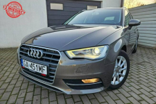 Audi A3 1.4 TFSi 125KM xenon BEZWYPADEK 5 drzwi ZADBANY BDB stan