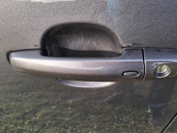 Sprzedam Wola Radziszowska - zdjęcie 8