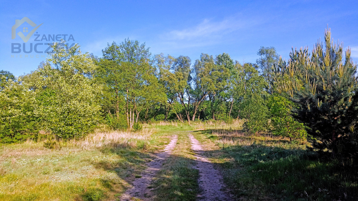 Sprzedam działki budowlane w Adamowej Górze Adamowa Góra - zdjęcie 5