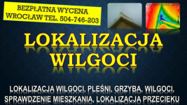 Odgrzybianie mieszkania, cena, tel. 504-746-203. Wrocław. pleśń, grzyb Psie Pole - zdjęcie 3