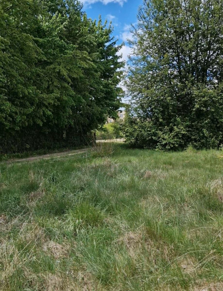 Działka rolno-budowlana 5226m2 Bielsk Podlaski Bielsk Podlaski - zdjęcie 7
